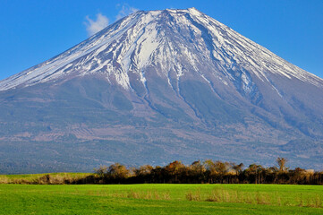 Fototapeta premium 静岡県富士宮市 朝霧高原の草原から望む雄大な富士山 
