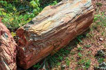 A large log with a red and brown color