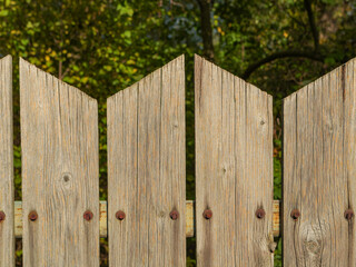 Fototapeta premium Close-up of a rustic wooden fence with metal bolts and weathered texture, surrounded by soft green garden background