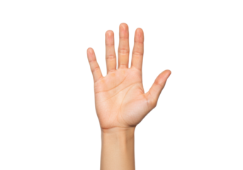 Isolated open hand raised in a gesture of stopping or showing five fingers, human anatomy