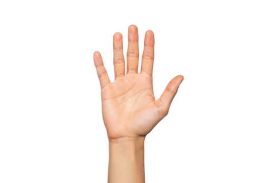 Isolated open hand raised in a gesture of stopping or showing five fingers, human anatomy