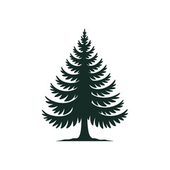 Fototapeta premium Tall Evergreen Pine Tree Silhouette