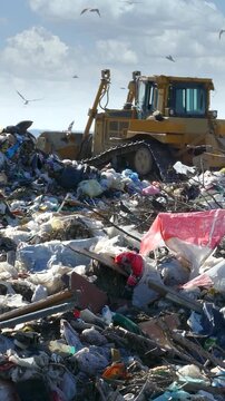 Garbage dump environmental pollution, earthmover bulldozer is working through massive piles of trash while many seagulls fly above. There are lots of plastic bags and bottles at landfill near the city