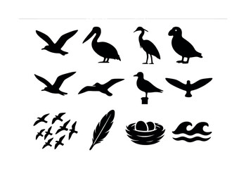Obraz premium Silhouette collection of diverse birds and ocean elements