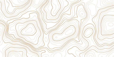 Topographic background and texture, monochrome image. Cartography Background, topographic multicolored linear background for design, abstraction with place for text.
