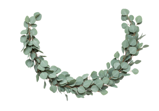 Isolated eucalyptus leaves garland semicircular decoration for wedding, celebration and events