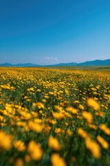 Fototapeta premium Flower field landscape with mountains. Background ideal for websites, travel ads