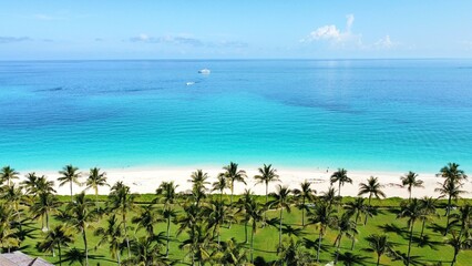 Scenic view of Ocean Cay, Bahamas, with white sandy beach, turquoise water and palm trees on a sunny day.