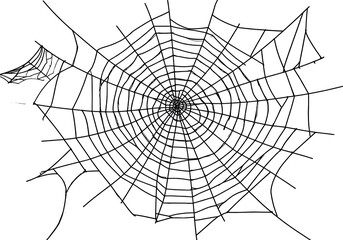 Obraz premium Spiderweb Illustration - Intricate Arachnid Web Design on White Background