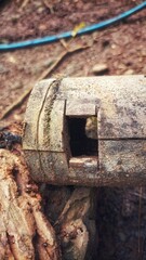 A close-up of a dry bamboo stem with a square hole, placed on the ground.