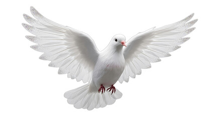 Obraz premium Peaceful white dove in graceful flight, wings spread, symbolizing hope, purity, and new beginnings. Ideal for wedding designs, baptism invitations, memorial programs, religious holidays,