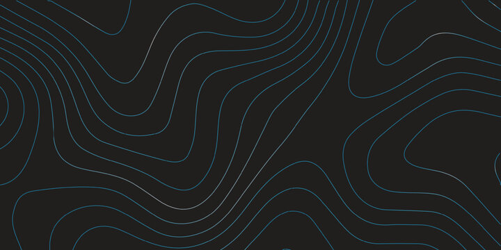 Fototapeta Abstract black and white background with a modern design and line pattern showcasing fractal technology art and swirl motion