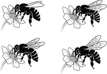 Honey bee pollinating flower vector illustration, black and white insect design, detailed botanical art, nature silhouette, wildlife concept drawing