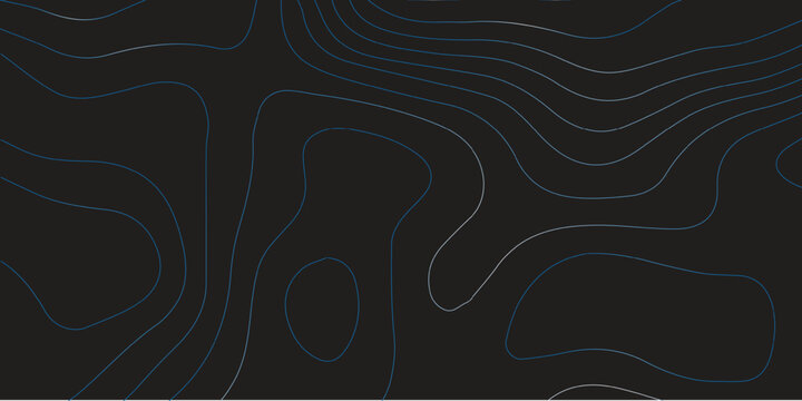 Abstract black and white vector design with a floral pattern and a gentle curve and line swirl