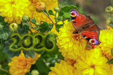 2026 on a Floral Background. hydrangea. chrysanthemum, butterfly,