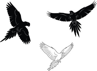Flying parrot silhouette vector illustration, tropical exotic bird artwork for wildlife, freedom, and nature concept design in artistic style