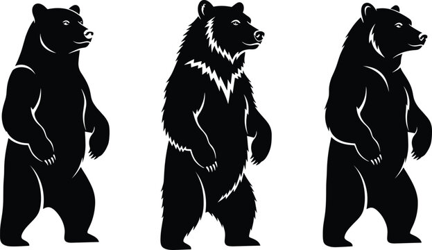 Vector illustration of standing bear in different styles, black and white wildlife animal silhouette, grizzly bear design for nature art