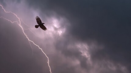 Obraz premium Bird soars across stormy sky with lightning strikes illuminating dark clouds