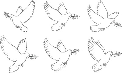 Vector illustration of flying dove with olive branch, peace symbol bird line art drawing, black and white minimalist design