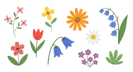 Obraz premium Collection of delicate watercolor wildflowers and botanical elements isolated on white background