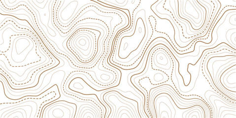 Topographic map pattern background vector. Abstract mountain terrain map background with abstract shape line texture. Use for template, wallpaper, web vector illustration. 