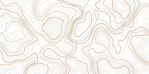 Topographic map pattern background vector. Abstract mountain terrain map background with abstract shape line texture. Use for template, wallpaper, web vector illustration. 