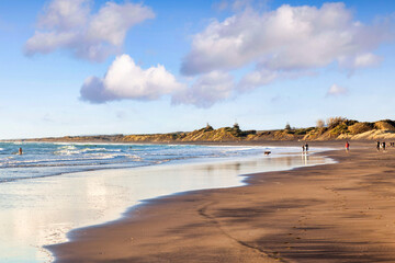 Muriwai Beach, Auckland, New Zealand, with its typical black volcanic sand beach, on a fine summer day.