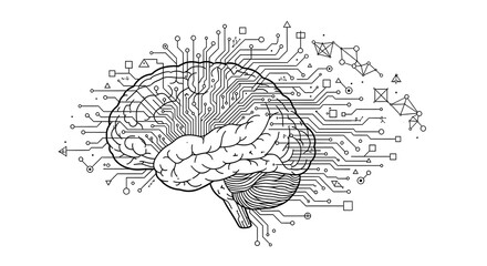 human brain vector illustration