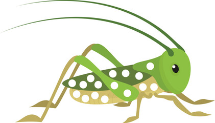 Grasshopper. Vector illustration
