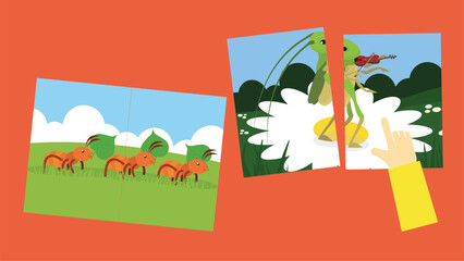 Vector illustration of an ant and a frog on a field of grass