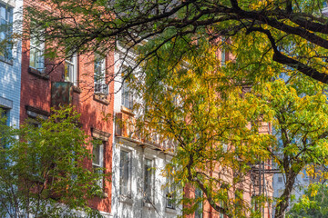 Trees by an elegant facade in Greenwich village in Manhattan