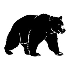 Fototapeta premium Black bear walking side profile animal wildlife