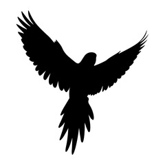 Fototapeta premium Black parrot silhouette wings spread white