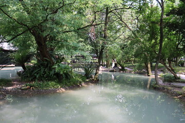 river in the park