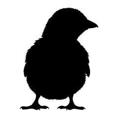 Fluffy chick silhouette black white