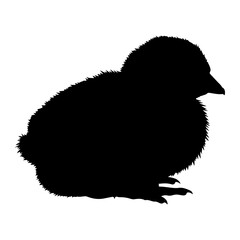 Fluffy chick silhouette black white