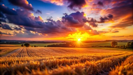 Miniature Sunset Field: Idyllic Rural Landscape at Golden Hour