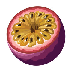 Passion fruit. Vector illustration. Highlights, shadows, vibrant design.