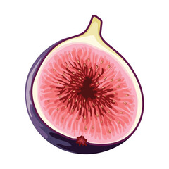 Fig, vector illustration. Highlights, shadows, vibrant design