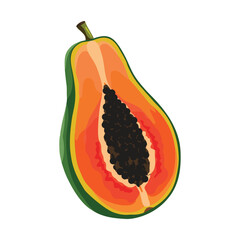 Papaya, vector illustration. Highlights, shadows, vibrant design.