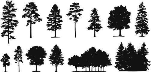 Sillhouette Wild Tree Vector Illustration Graphic