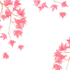 Hand drawn watercolor maple branch with red leaves frame border. Illustration of tree isolated on white background. Can be used for postcard, label, scrapbook and other printed products.