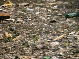 trash in the forest