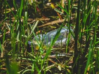 Floating white garbage plastic bottles in the pond