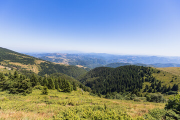 Panoramic mountain valley view with rolling hills and evergreen forest
