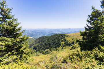 Panoramic mountain valley view with rolling hills and evergreen forest