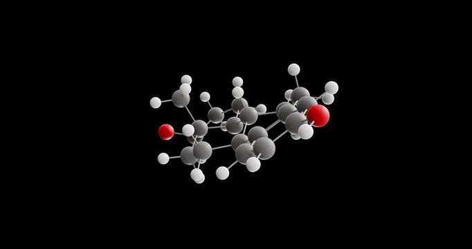Estradiol molecule, rotating 3D model of estrogen steroid hormone, looped video on a black background
