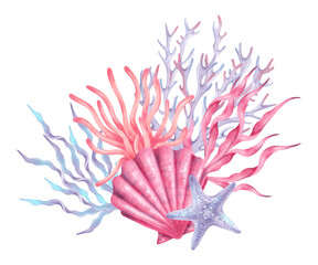 Composition of a shell, coral, starfish with seaweed. Coral reef with underwater inhabitants. Watercolor, marker illustration. Hand drawn isolated art. Perfect for nautical themes, tropical designs