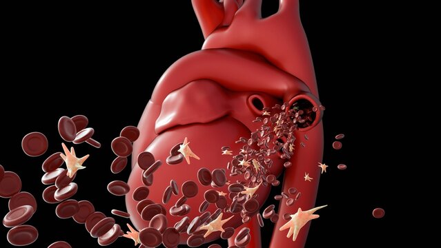 A 3d illustration of human heart pump in the blood from vein