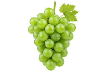 Isolated cluster of fresh green grapes with leaf, sweet and juicy fruits of the vine plant
